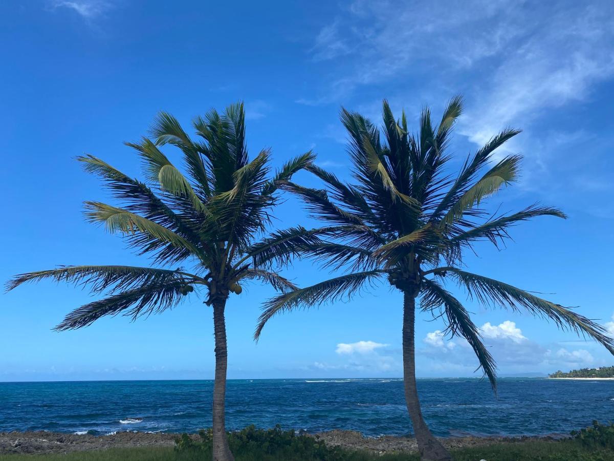 Villa Phare Caraibes Guadeloupe Ле-Муль Экстерьер фото